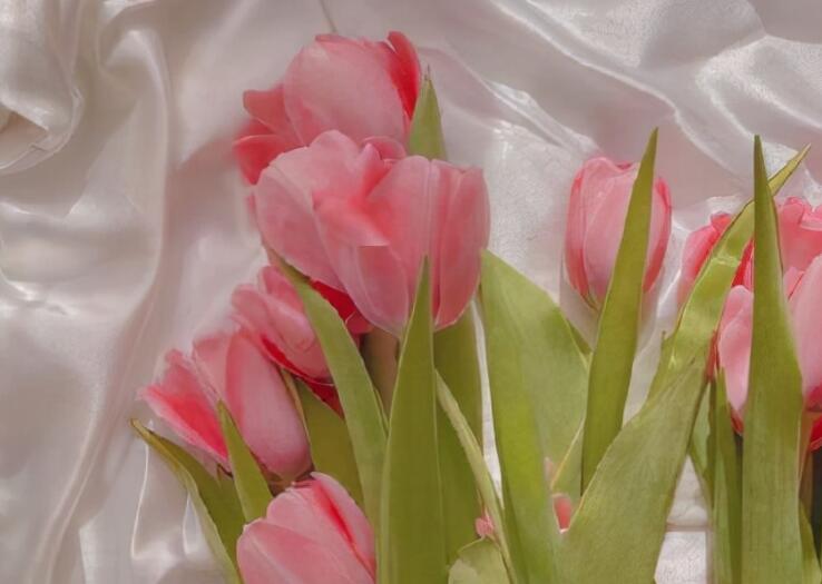 让人一眼就心动的句子文案