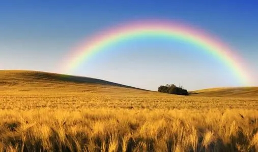 描写景色抒情的句子文案