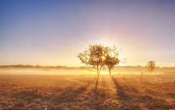 迎接光明的句子文案