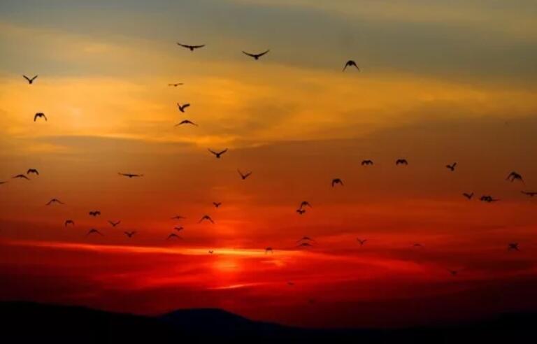 早安晚安励志正能量心语