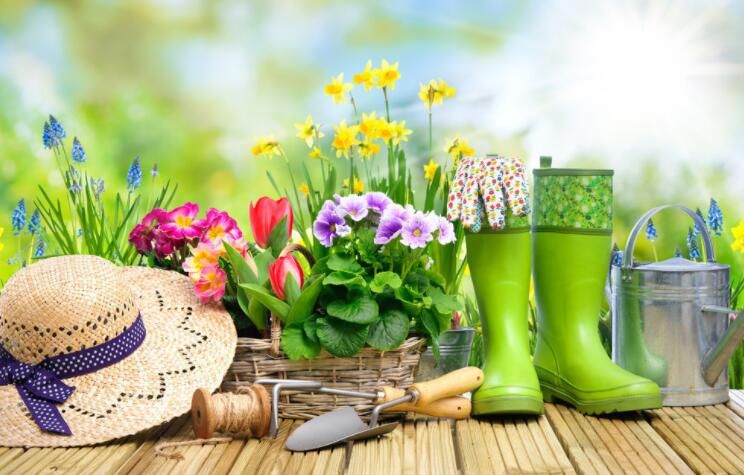 踏春朋友圈配文