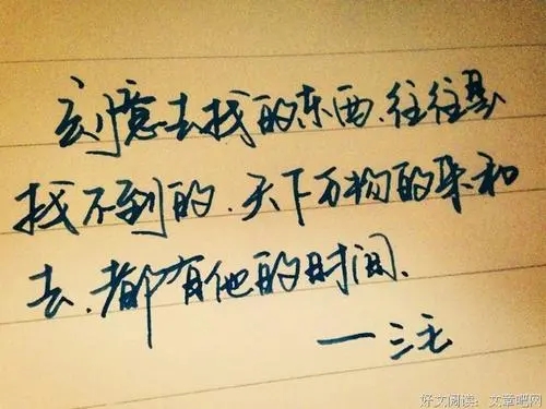 三毛经典语录文案30句