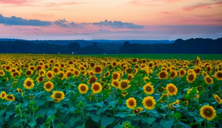 有关于人生哲理的句子文案