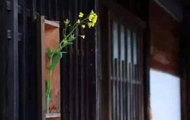 描写五一出游的句子文案