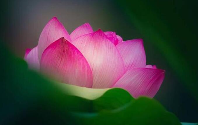 中年说说经典语录文案