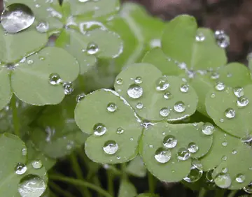 喜欢下雨的句子文案心情