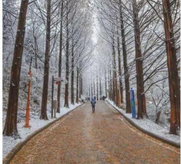 适合冬天的暖心句子文案