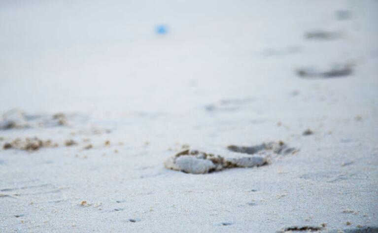 成长的足迹优美句子文案