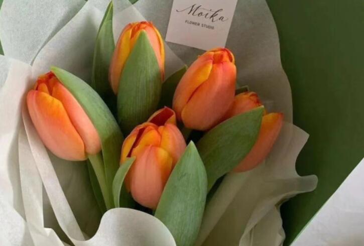 干净温柔的治愈系文案