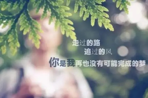 好听的语句唯美的句子文案