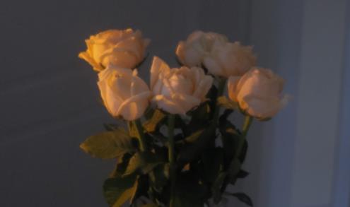 突然间很迷茫的说说文案