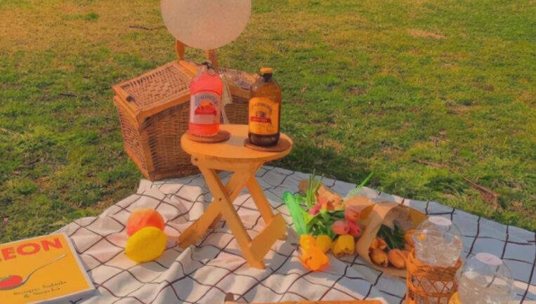 生活美好阳光的句子文案