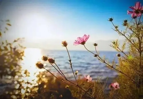 等待心爱的人有哪些诗词