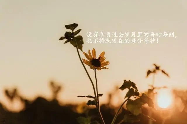 生活语录文案经典短句