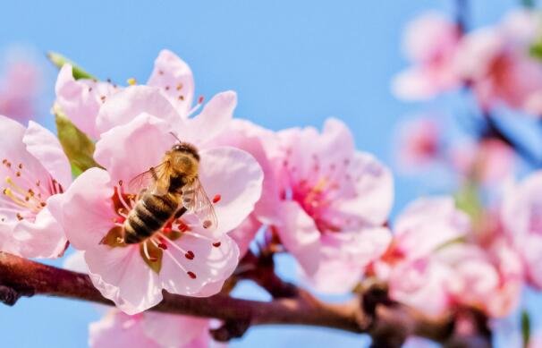 值班经典句子文案