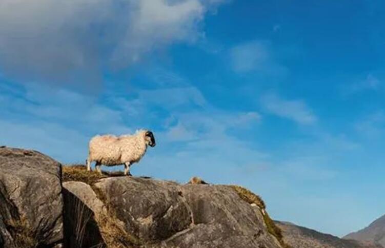 幽默风趣的文案