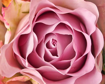 撩女孩语句文案