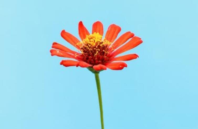 可爱调皮的早安简短句子文案