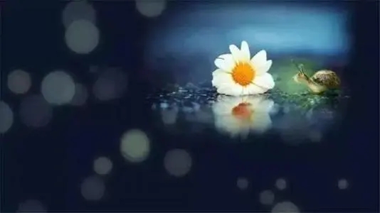 形容11月的句子文案唯美