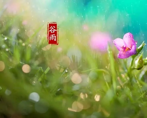 描写24个节气的古诗