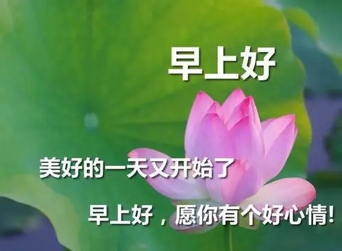 清晨友谊祝福语