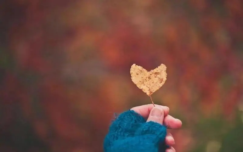 现实爱情扎心句子文案