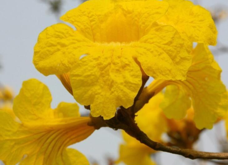 关于星期一的早安心语