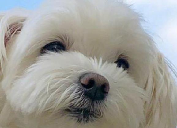 励志语录文案正能量短句