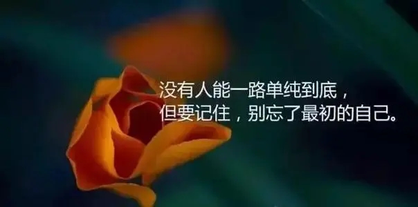 朋友圈走心干净句子文案