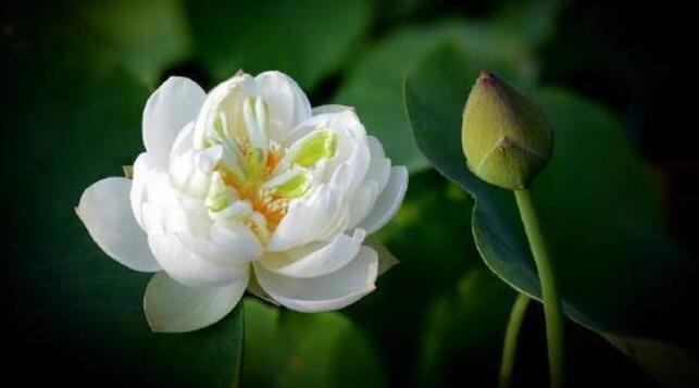 中年说说经典语录文案