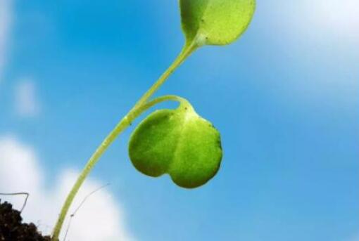 经典励志人生感悟语录文案