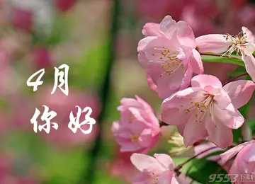 四月份适合发朋友圈的句子文案