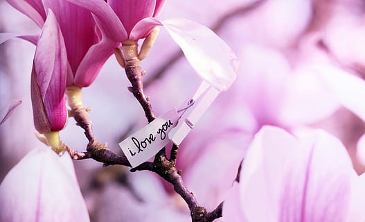 长安故里一句情话文案图片