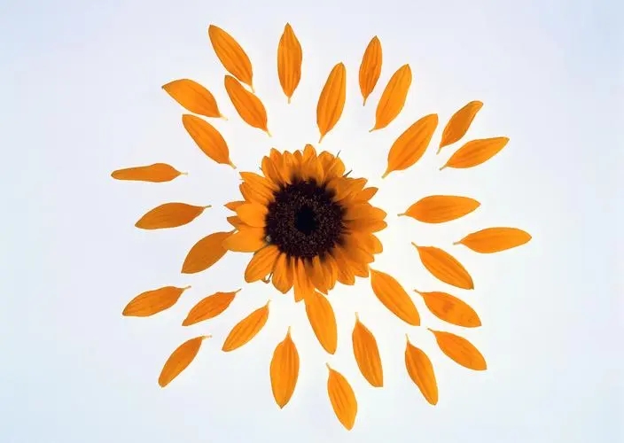 好词好句文案50字摘抄大全