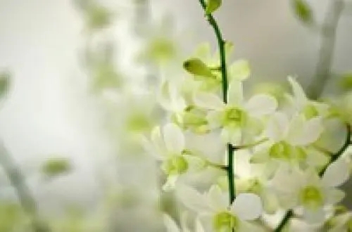 让自己沉淀下来的短句