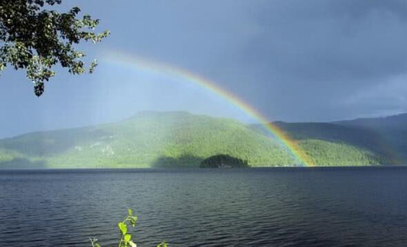 含有国字的诗词飞花令
