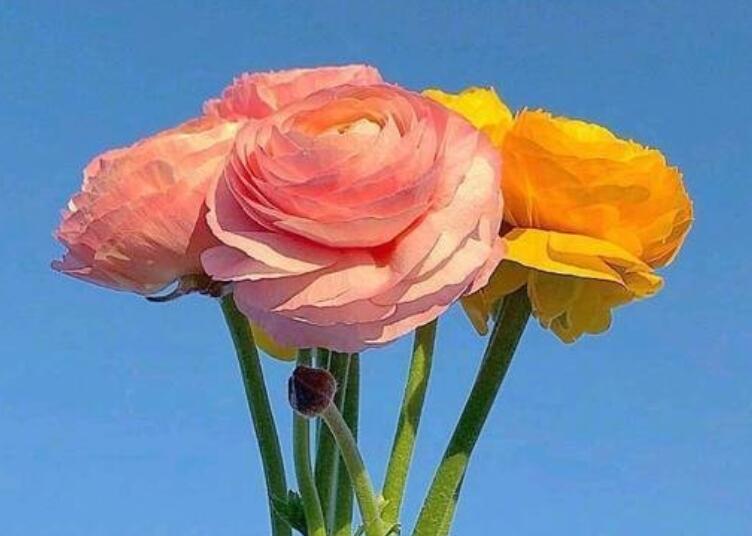 励志的个性签名适合女