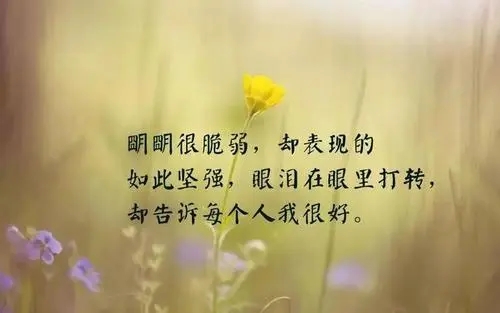 适合自己心情好的句子文案