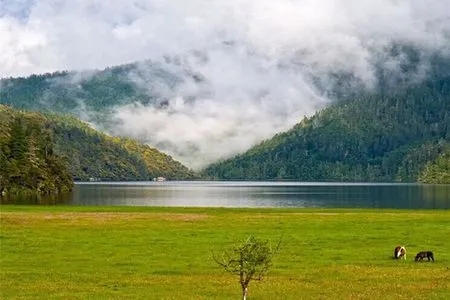 感受大自然的说说文案简短