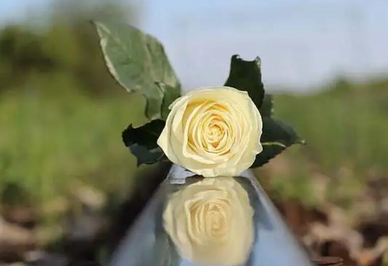 想死的心情说说文案