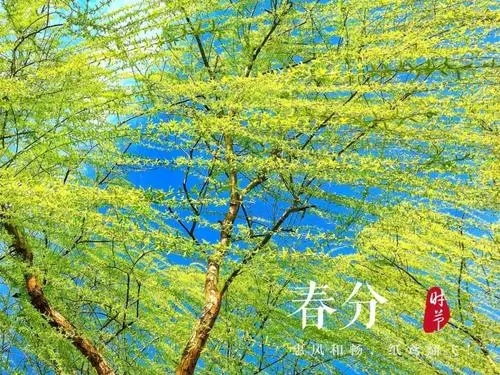 春分的好词好句文案摘抄