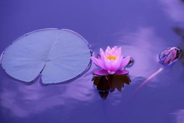 控制自己情绪的一段话