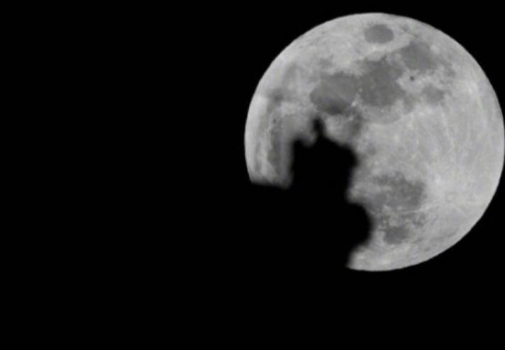 俏皮可爱的晚安句子文案