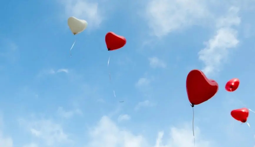 感恩节的语句文案