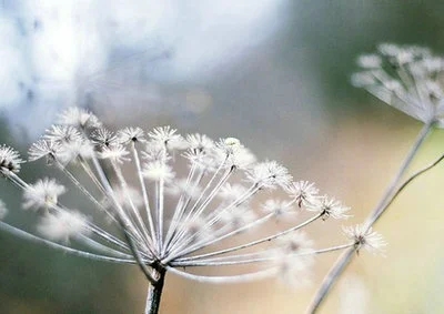 形容心情很乱的说说文案