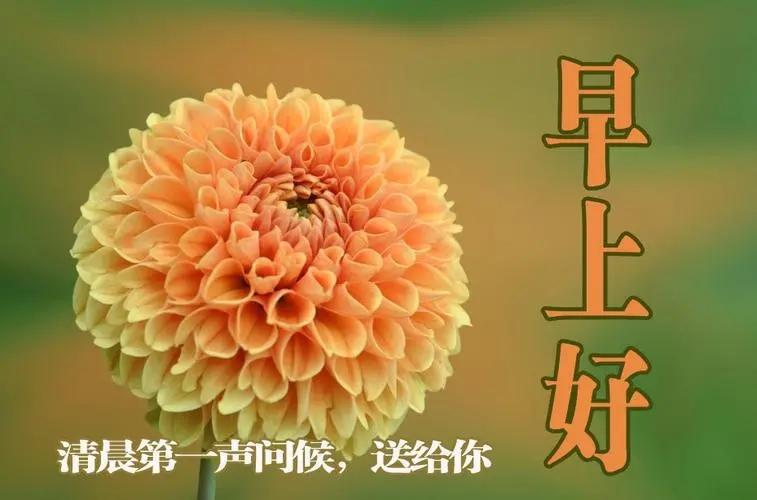 问候语大全简短