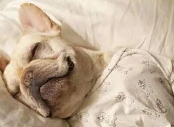 关于减肥的幽默句子文案大全