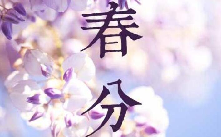 春分节气文案