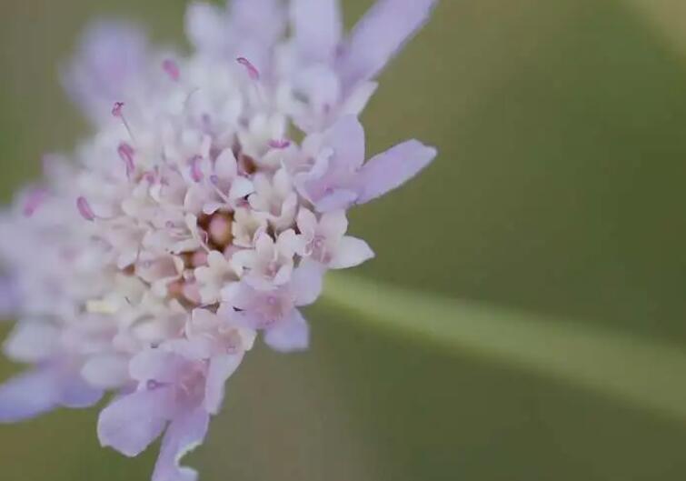晚上好关心祝福语图片星期天
