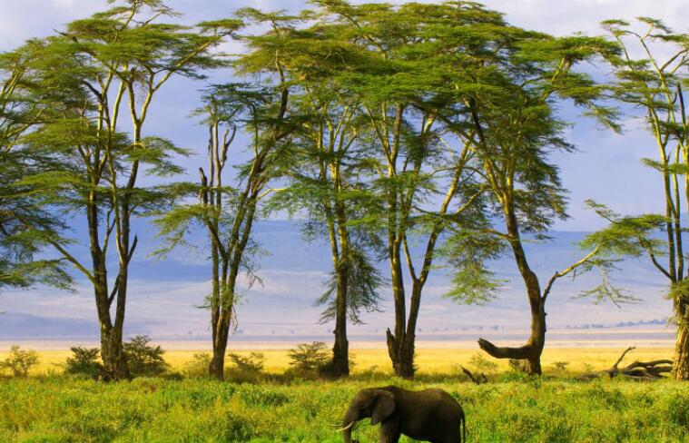 关于感情的经典语录文案